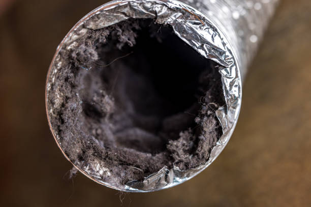 Best Duct Cleaning for Offices  in , MN