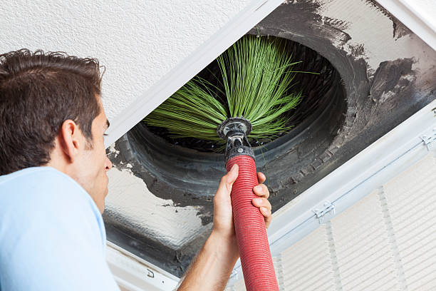 Best Air Duct Cleaning Near Me  in , MN